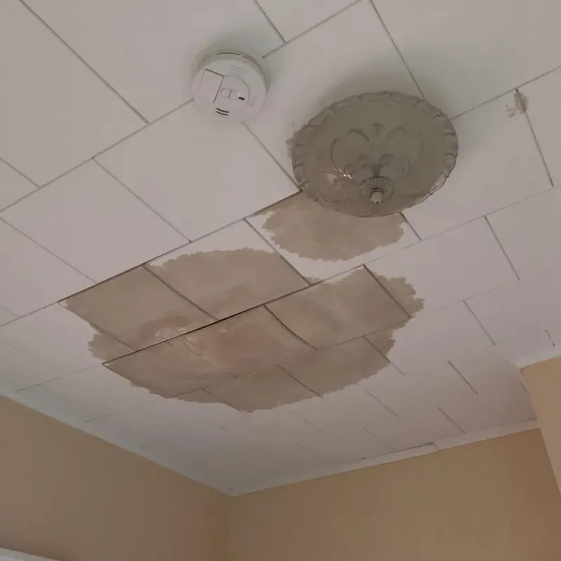 Ceiling Water Damage Repair in Atoka County, OK